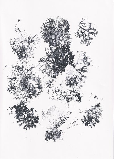 Organic Botanical Shapes by Maira Ribena