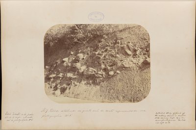 Detailed Study of the Southern Part of the Section Represented in Photograph Number 6 by Marc Ferrez