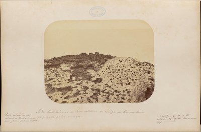 Limestone Part of the Exterior Side of the Recife of Pernambuco Pierced by Holes by Marc Ferrez