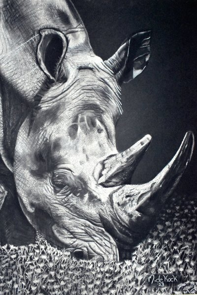 Powerful Rhino Grazing by Marchelle de Kock