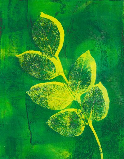 Foglie by Marco Campedelli
