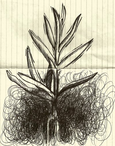 Plant by Marco Campedelli