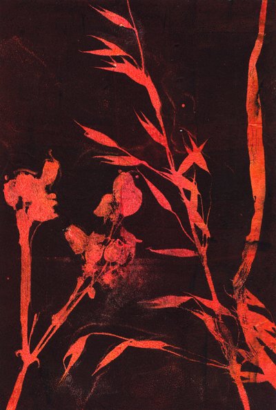 Red Leaves by Marco Campedelli