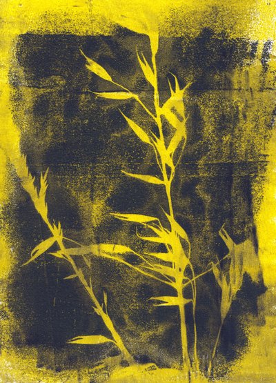 Yellow Leaves by Marco Campedelli