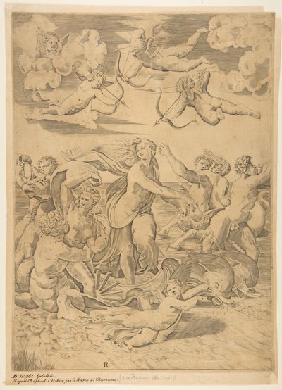 Galatea Riding in a Shell Pulled Through the Water by Dolphins by Marco Dente