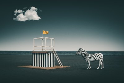 Surreal Beach Zebra by Marcus Hennen