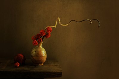 Dark Botanical Still Life by Margaret Halaby