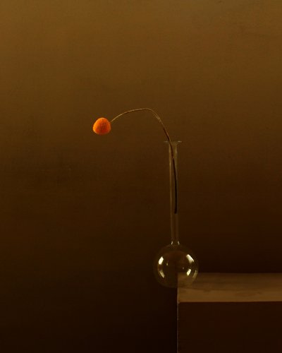 Minimalist Orange Flower by Margaret Halaby