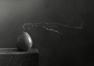 Monochrome Pear and Branch by Margaret Halaby