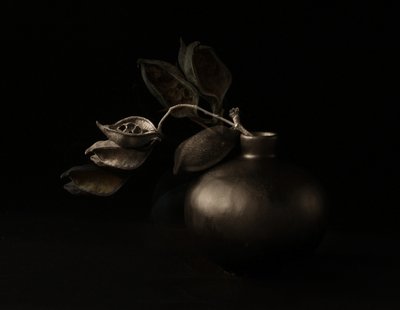 Moody Seed Pods by Margaret Halaby