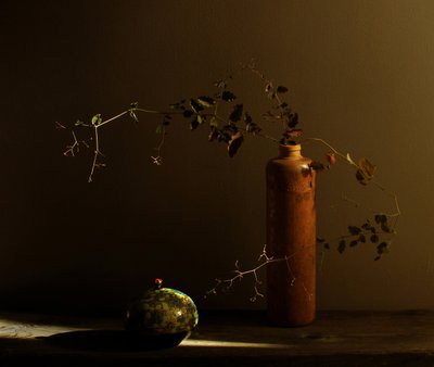 Rustic Still Life with Ladybug by Margaret Halaby
