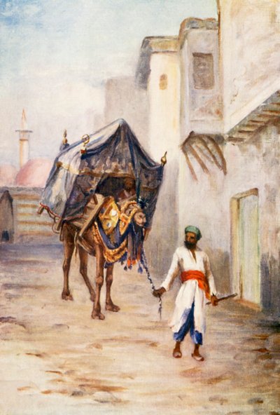 Camel Driver by Margaret Thomas