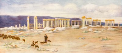 General View of the Colonnade, Palmyra by Margaret Thomas