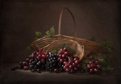Abundant Vineyard Grapes by Margareth Perfoncio