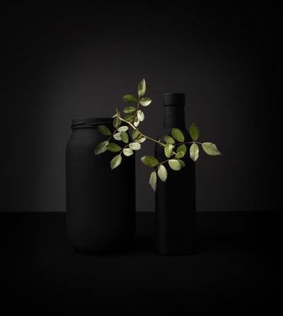 Black Objects Green Branch by Margareth Perfoncio