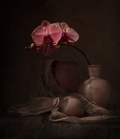 Dark Orchid Still Life by Margareth Perfoncio