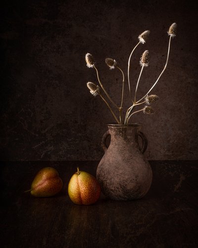 Dark Pears and Flowers by Margareth Perfoncio