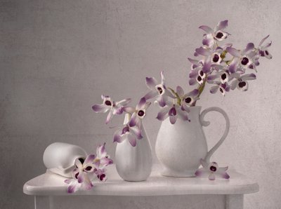 Delicate Orchid Still Life by Margareth Perfoncio