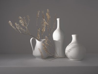 Minimalist Botanical Still Life by Margareth Perfoncio