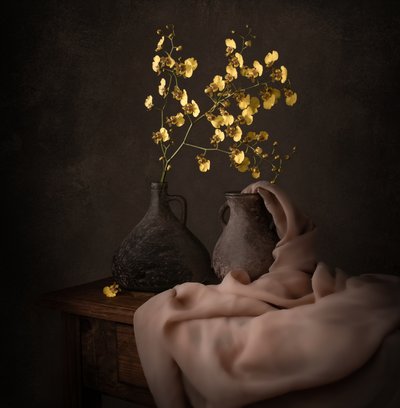 Moody Yellow Orchids by Margareth Perfoncio
