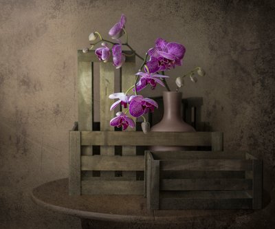 Orchids and Crates by Margareth Perfoncio