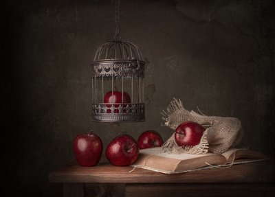 Rustic Apples And Book by Margareth Perfoncio