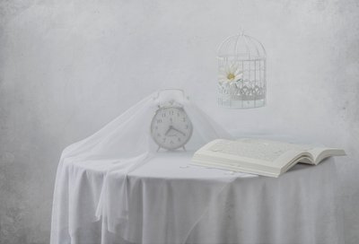 Serene Clock Book Birdcage by Margareth Perfoncio