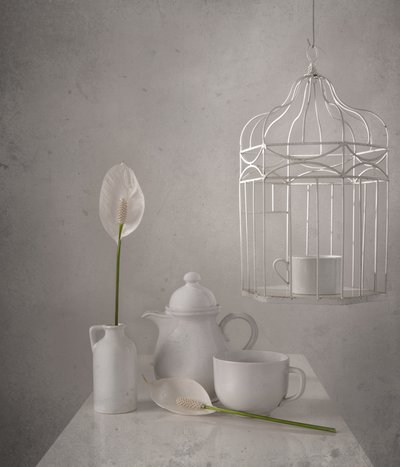 White Birdcage Peace Lilies by Margareth Perfoncio