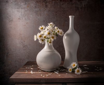 White Daisies Still Life by Margareth Perfoncio