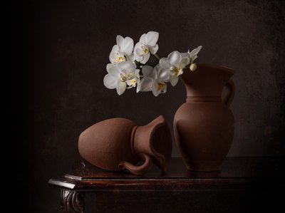 White Orchids Still Life by Margareth Perfoncio