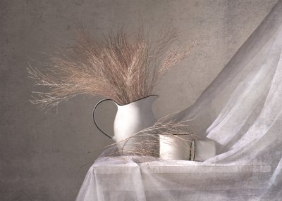 White Pitcher Dried Grass by Margareth Perfoncio