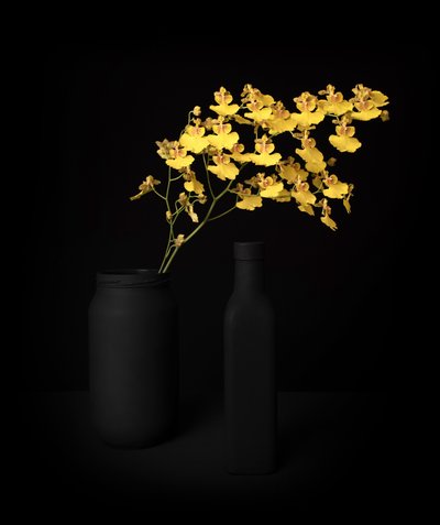 Yellow Orchid Still Life by Margareth Perfoncio