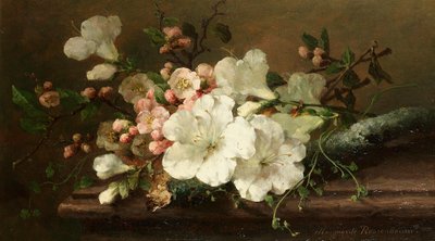 Still Life with Blossom by Margaretha Roosenboom