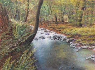 Springtime in woods by Margo Starkey