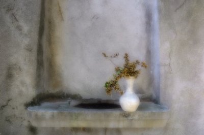 Dried Botanicals Alcove by Marie-anne Stas