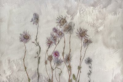 Soft Pastel Flowers by Marie-anne Stas