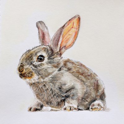 Cute Baby Bunny by Marina Kozyr