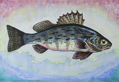Dreamy Perch Fish by Marina Kozyr