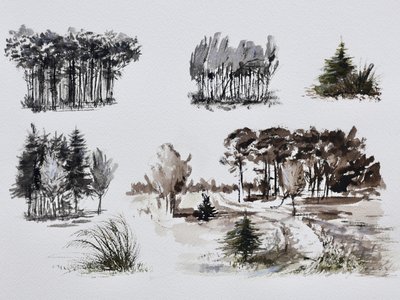 Forest Tree Studies by Marina Kozyr
