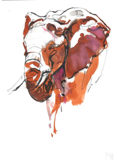 Elephant Head Study II by Mark Adlington