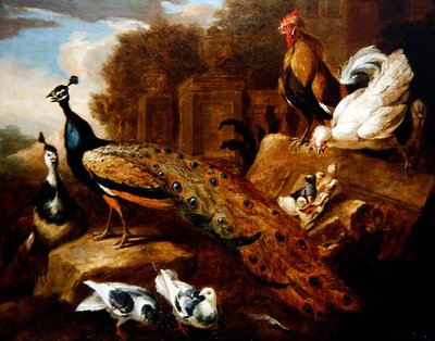 Peacocks, Doves, & Other Birds and a Classical Building by Marmaduke (attr. to) Cradock