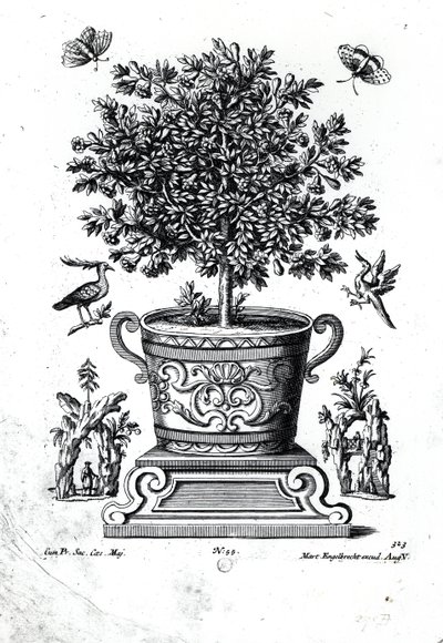 Ornamental Tree in an Urn on a Small Stage by Martin Engelbrecht