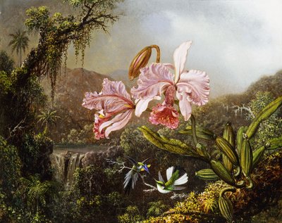 Orchids and Hummingbirds in a Brazilian Jungle, c. 1871-72 by Martin Johnson Heade