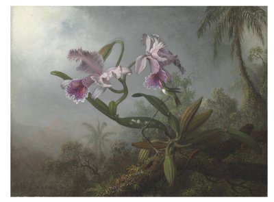 Pink Orchids and Hummingbird on a Twig, 1875 by Martin Johnson Heade