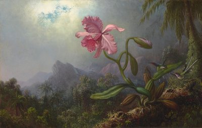 Two Hummingbirds with an Orchid by Martin Johnson Heade