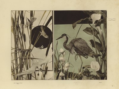 One of Martin Gerlach’s Festons und Decorative Gruppen by Martin senior Gerlach