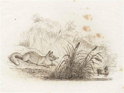 Illustration for 