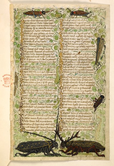 Horned beetles, crickets and a locus, Treatise on the Virtues and Vices, and an anonymous prose history of Sicily (fragment) by Master of the Cocharelli Codex