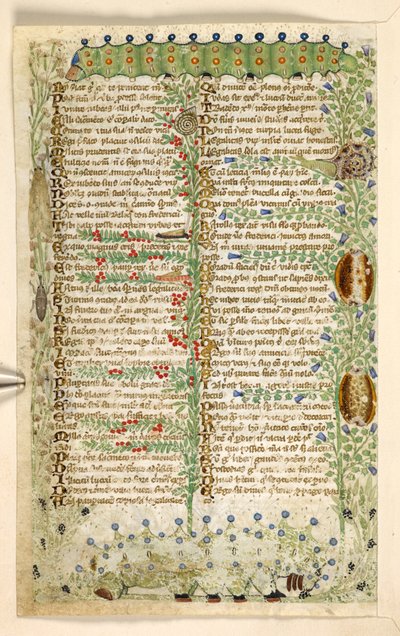 Caterpillars, Snails, and Other Insects, from a Treatise on the Virtues and Vices, and an Anonymous Prose History of Sicily by Master of the Cocharelli Codex