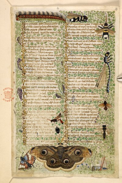 Wasps, moths, dragonflies and a caterpillar, from a Treatise on the Virtues and Vices, and an anonymous prose history of Sicily (fragment) by Master of the Cocharelli Codex